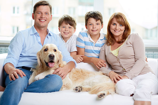 Tips For Family Dental Care  From A Top Ballston Spa, NY, Dentist